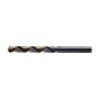 product TEDION Спирално свредло шлифовано PROFI HSS, DIN 338, черно със златна ивица - 4x80 мм thumb